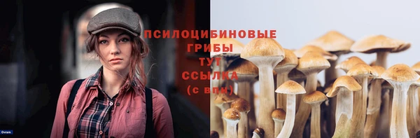 хмурый Беломорск